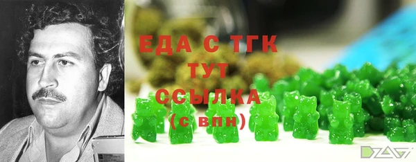 гашик Новодвинск