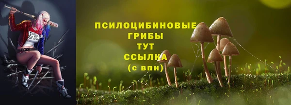 ешки Осинники